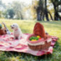 Wicker Picknickkorb mit Deckel Rattan Korb Obstkorb Einkaufskorb Weidenkorb Henkelkorb Bügelkorb Geflochtener Aufbewahrungsko